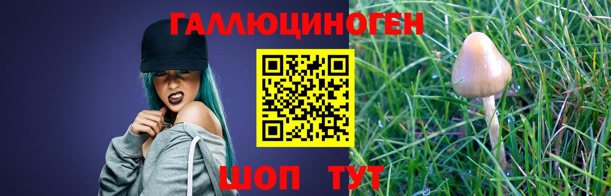 Галлюциногенные грибы GOLDEN TEACHER  Галлюциногенные грибы Psilocybe  Вход с VPN  даркнет сайт  Обь 